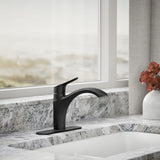Rival® Single-handle kitchen sink faucet