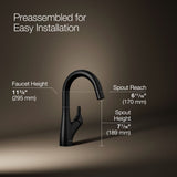 Rival® Single-handle bar sink faucet