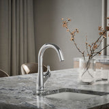 Rival® Single-handle bar sink faucet