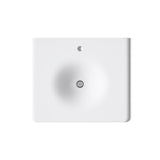 Iron/Impressions® 25" Enameled cast iron vanity top with integrated round sink