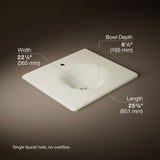 Iron/Impressions® 25" Enameled cast iron vanity top with integrated round sink