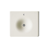 Iron/Impressions® 25" Enameled cast iron vanity top with integrated round sink