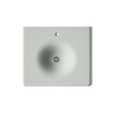 Iron/Impressions® 25" Enameled cast iron vanity top with integrated round sink