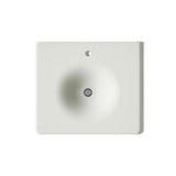 Iron/Impressions® 25" Enameled cast iron vanity top with integrated round sink