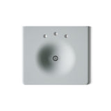 Iron/Impressions® 25" Enameled cast iron vanity top with integrated round sink