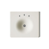Iron/Impressions® 25" Enameled cast iron vanity top with integrated round sink