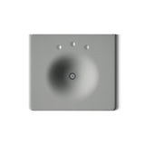 Iron/Impressions® 25" Enameled cast iron vanity top with integrated round sink