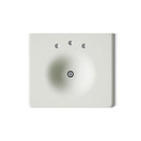 Iron/Impressions® 25" Enameled cast iron vanity top with integrated round sink