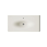 Iron/Impressions® 43" Enameled cast iron vanity top with integrated oval sink