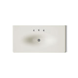 Iron/Impressions® 43" Enameled cast iron vanity top with integrated oval sink