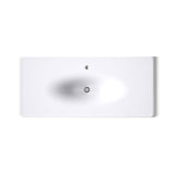 Iron/Impressions® 49" Enameled cast iron vanity top with integrated oval sink