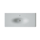 Iron/Impressions® 49" Enameled cast iron vanity top with integrated oval sink