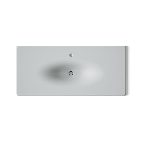 Iron/Impressions® 49" Enameled cast iron vanity top with integrated oval sink