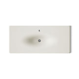Iron/Impressions® 49" Enameled cast iron vanity top with integrated oval sink