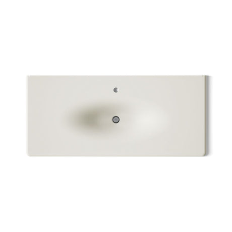 Iron/Impressions® 49" Enameled cast iron vanity top with integrated oval sink