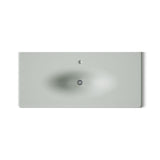 Iron/Impressions® 49" Enameled cast iron vanity top with integrated oval sink