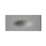 Iron/Impressions® 49" Enameled cast iron vanity top with integrated oval sink