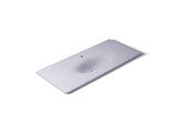 Iron/Impressions® 49" Enameled cast iron vanity top with integrated oval sink