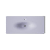 Iron/Impressions® 49" Enameled cast iron vanity top with integrated oval sink