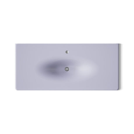 Iron/Impressions® 49" Enameled cast iron vanity top with integrated oval sink