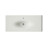 Iron/Impressions® 49" Enameled cast iron vanity top with integrated oval sink