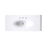Iron/Impressions® 49" Enameled cast iron vanity top with integrated oval sink