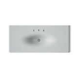 Iron/Impressions® 49" Enameled cast iron vanity top with integrated oval sink