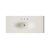Iron/Impressions® 49" Enameled cast iron vanity top with integrated oval sink