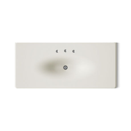 Iron/Impressions® 49" Enameled cast iron vanity top with integrated oval sink