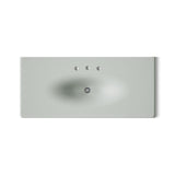 Iron/Impressions® 49" Enameled cast iron vanity top with integrated oval sink