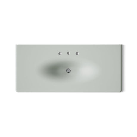 Iron/Impressions® 49" Enameled cast iron vanity top with integrated oval sink