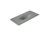 Iron/Impressions® 49" Enameled cast iron vanity top with integrated oval sink
