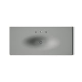 Iron/Impressions® 49" Enameled cast iron vanity top with integrated oval sink
