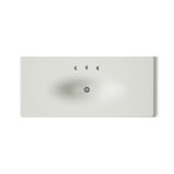 Iron/Impressions® 49" Enameled cast iron vanity top with integrated oval sink