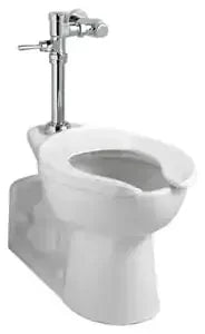 Ultima Manual Toilet Flush Valve, Piston-Type, 1.6 gpf/6.0 Lpf