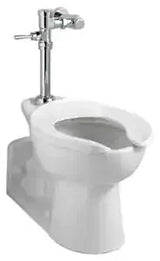 Ultima Manual Toilet Flush Valve, Piston-Type, 1.6 gpf/6.0 Lpf