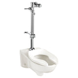 Ultima Manual Flush Valve With Bedpan Washer Assembly, Straight Tube, 1.28 gpf/4.8 Lpf