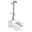 Ultima Manual Flush Valve With Bedpan Washer Assembly, Offset Tube, 1.28 gpf/4.8 Lpf