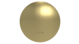 Brass Slide On Rnd F Plate (3252BG)