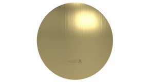Brass Slide On Rnd F Plate (3252BG)