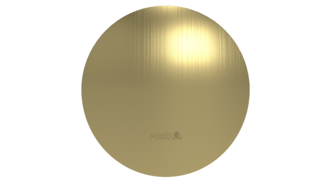 Brass Slide On Rnd F Plate (3252BG)