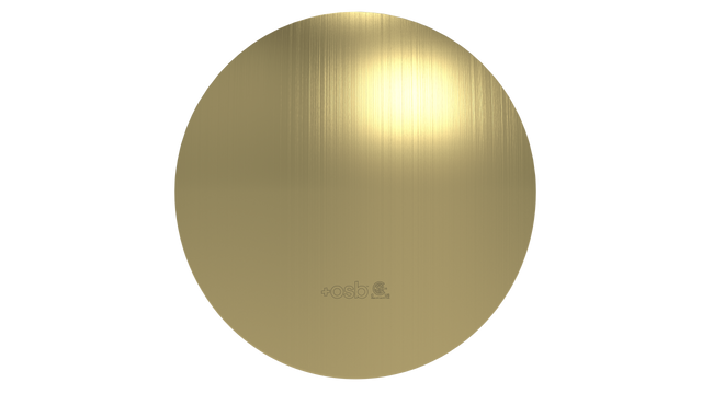 Brass Slide On Rnd F Plate (3252BG)