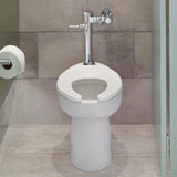 Ultima Manual Toilet Flush Valve, Piston-Type, 1.6 gpf/6.0 Lpf
