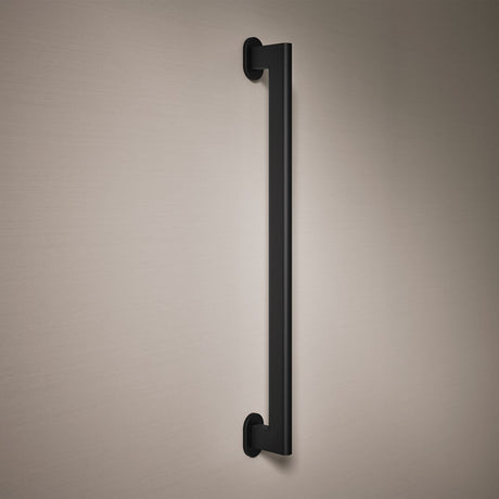 Belay® 24" grab bar