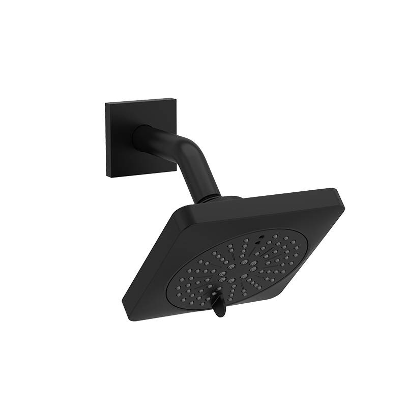 Shower/bath Components 2-jet Shower Head With Arm