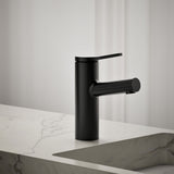 Elate® Single-handle bathroom sink faucet, 1.2 gpm