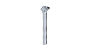Overflow 2" Screw (351-2CP)