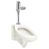 Ultima Selectronic Touchless Urinal Flush Valve, Piston-Type, Battery, 1.0 gpf/3.8 Lpf, 1-1/4-inch