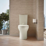 Persuade® Curv Toilet tank, dual-flush
