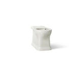 Claude™ by Studio McGee Elongated toilet bowl with skirted trapway
